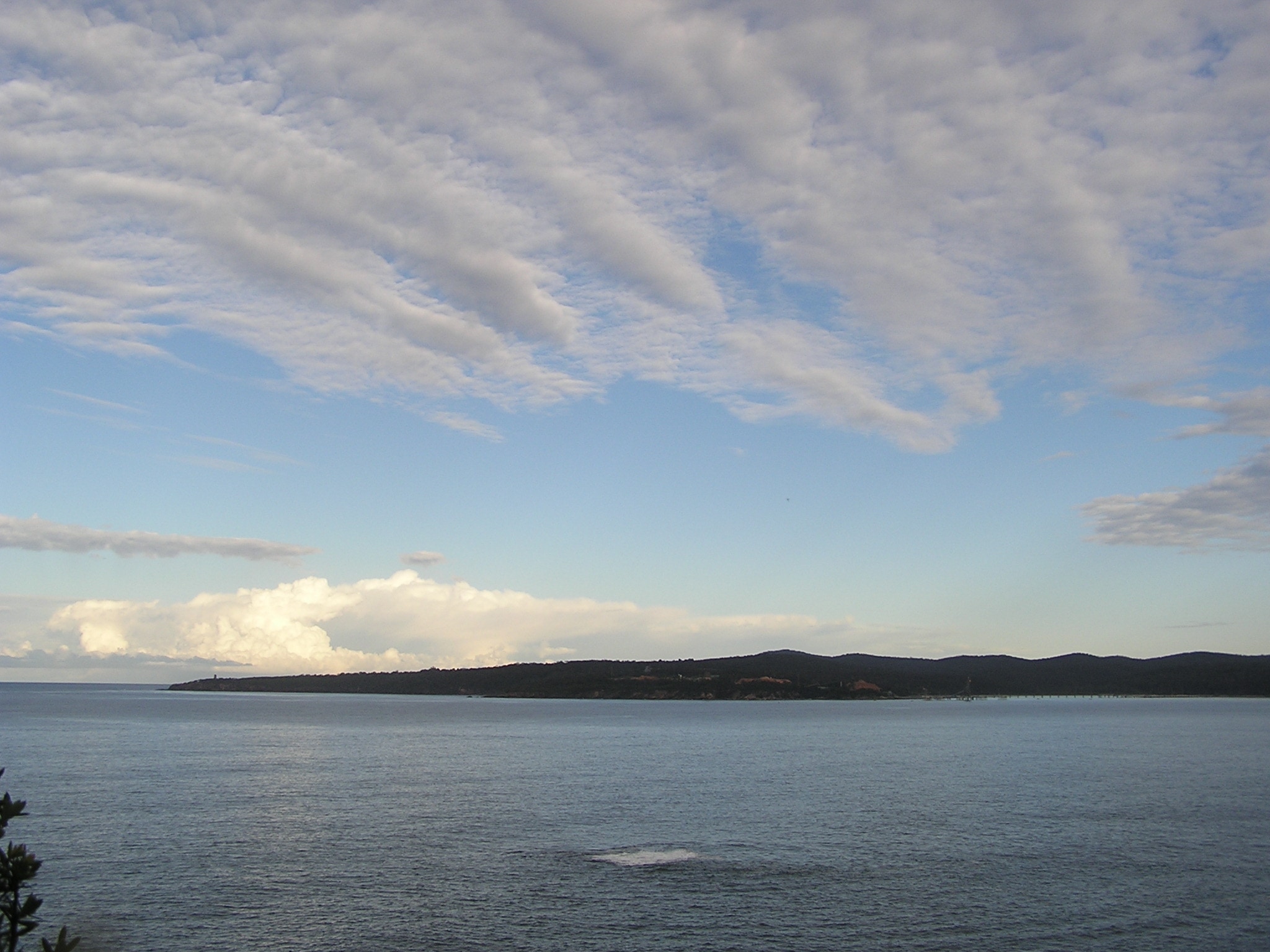 Twofold Bay near Eden, New South Wales.